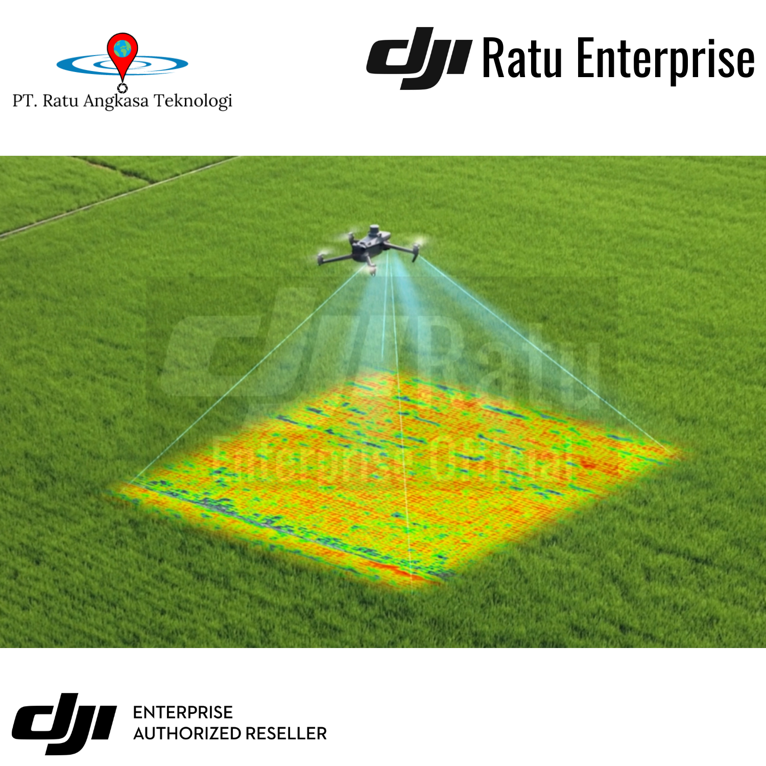DJI Mavic 3 Multispectral - Image 4